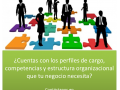 PERFILES, COMPETENCIAS Y ESTRTUCTURA