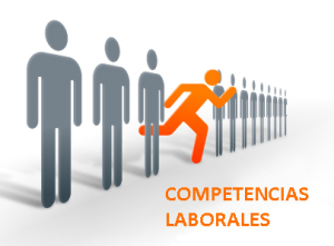 Perfiles de Cargo, Competencias Laborales y Levantamiento de Procedimientos